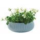 Горшок для растений Cozies L бирюзовый Keter 7290106929678 фото 1
