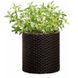 Горщик для квітів S Cylinder Planter коричневий Keter 7290103664183 фото 1