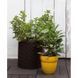 Горщик для квітів S Cylinder Planter коричневий Keter 7290103664183 фото 6
