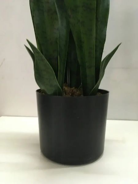 Штучна рослина Sansevieria 65 см. Engard DW-10 DW-10 фото