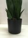 Штучна рослина Sansevieria 65 см. Engard DW-10 DW-10 фото 2