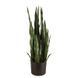 Штучна рослина Sansevieria 65 см. Engard DW-10 DW-10 фото 1