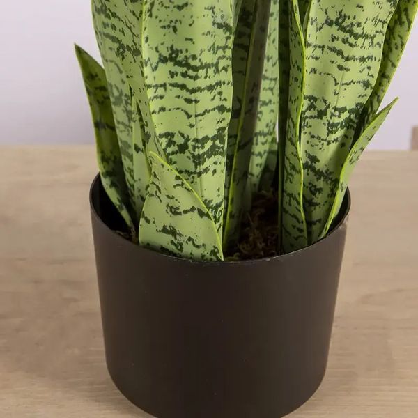 Искусственное растение Sansevieria 65 см. Engard DW-11 DW-11 фото