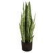 Искусственное растение Sansevieria 65 см. Engard DW-11 DW-11 фото 1