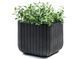 Цветочный горшок Keter Cube Planter L графит 230225 230225 фото 4