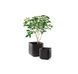 Цветочный горшок Keter Cube Planter L графит 230225 230225 фото 6