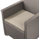 Комплект садових меблів Keter Elodie 2 Seater Sofa Set (246155) капучино 254091 254091 фото 4