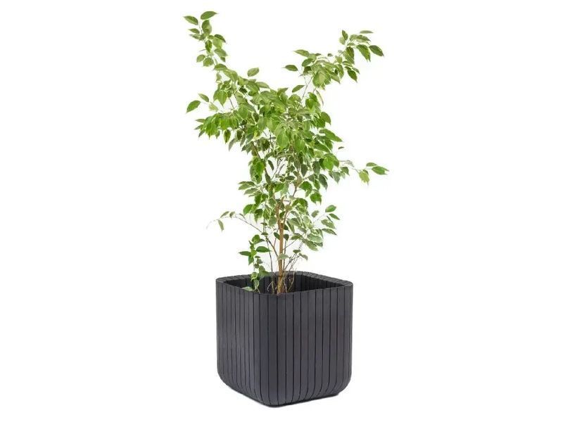 Цветочный горшок Keter Cube Planter L графит 230225 230225 фото